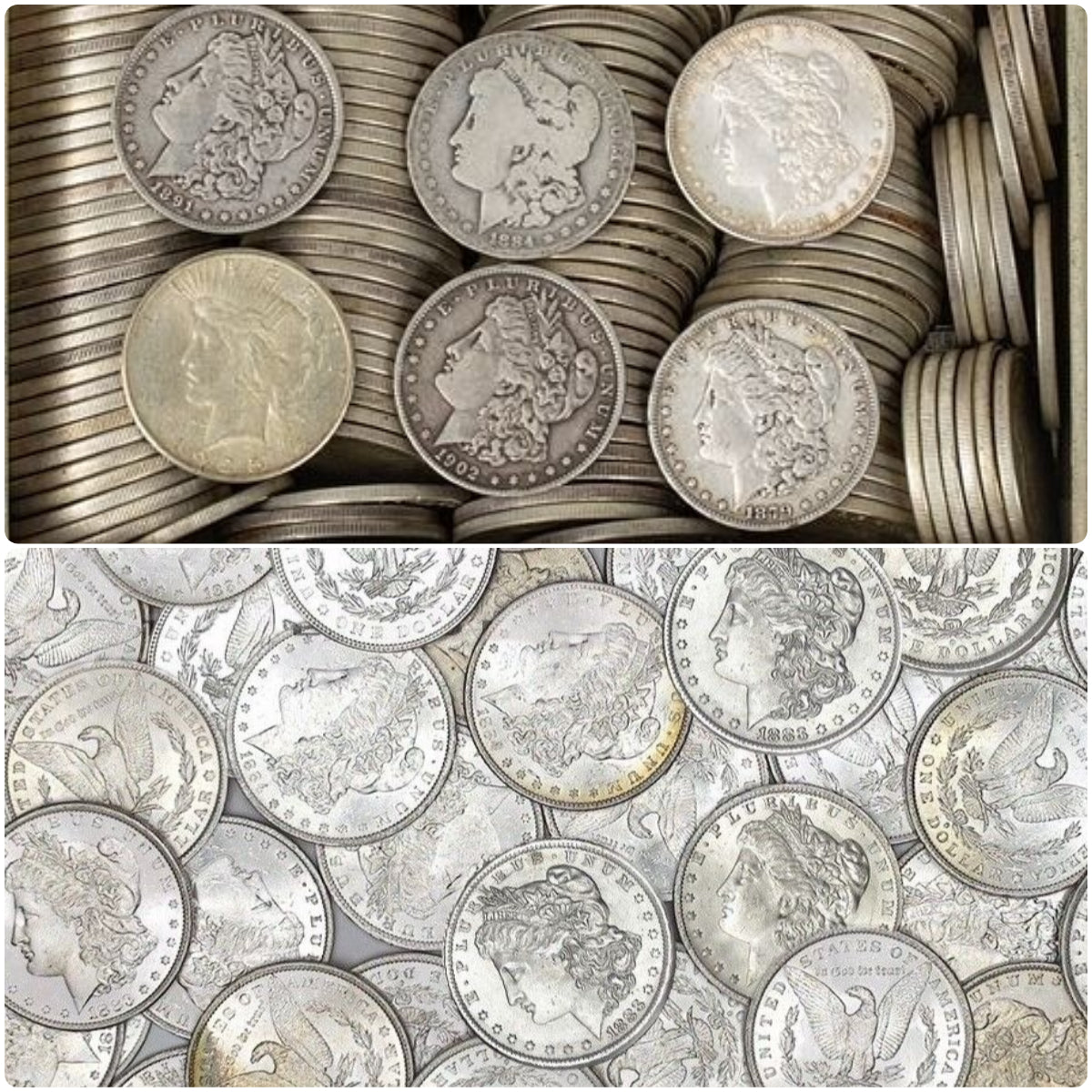 â°Last Week Sale đ„1878-1921 Morgan Silver Dollar Set 28PCăComplete Collectionă