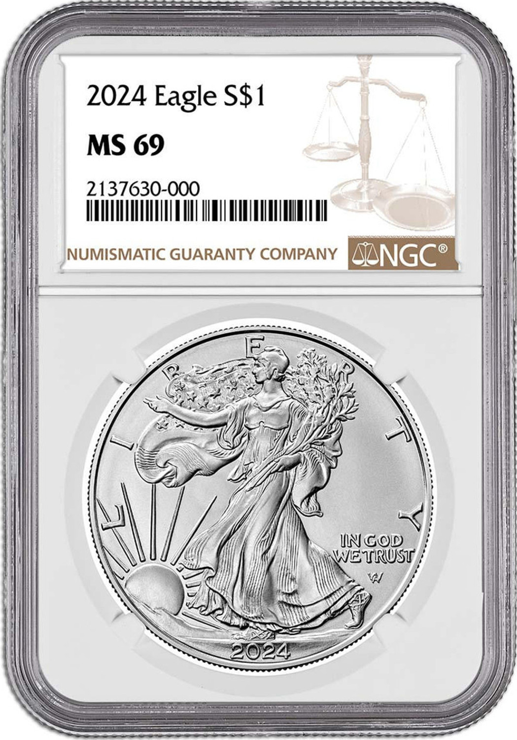 🔥Last Day Offer - 70% OFF🪙1986-2024 American Silver Eagle 39-pc Set